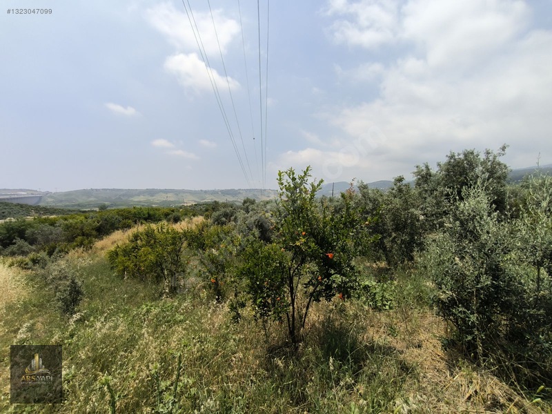 Ars Yapı Gayrimenkul'den Mersin Çopur'da Satılık 3.167 M2 Arsa — fotoğraf 5