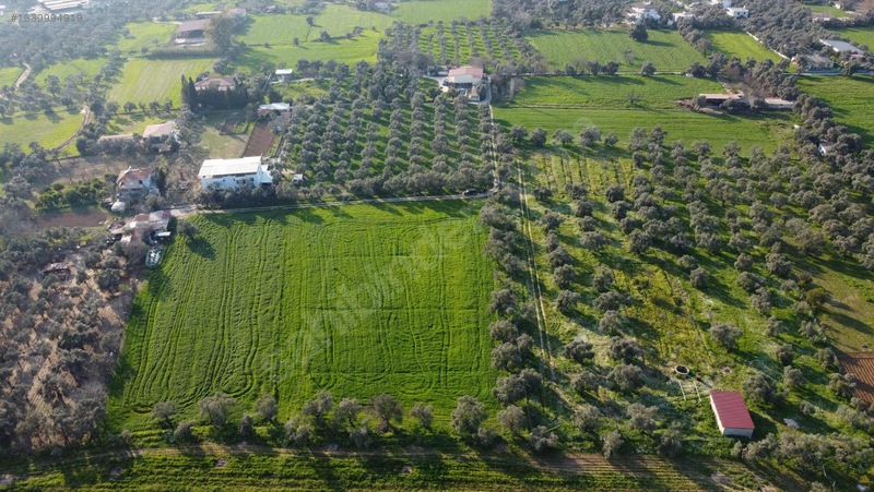 Muğla Milas Merkezde Satılık Değerli Arazi