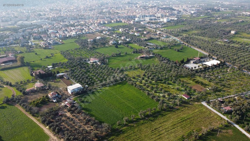 Muğla Milas Merkezde Satılık Değerli Arazi — fotoğraf 4