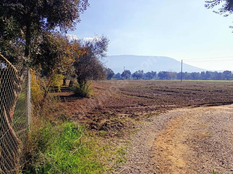 Muğla Milas Merkezde Satılık Değerli Arazi — fotoğraf 8