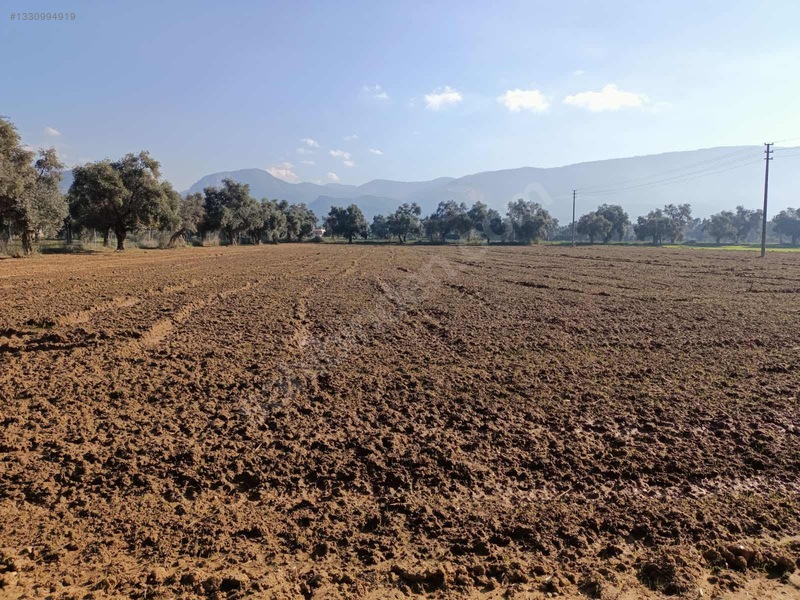 Muğla Milas Merkezde Satılık Değerli Arazi — fotoğraf 10