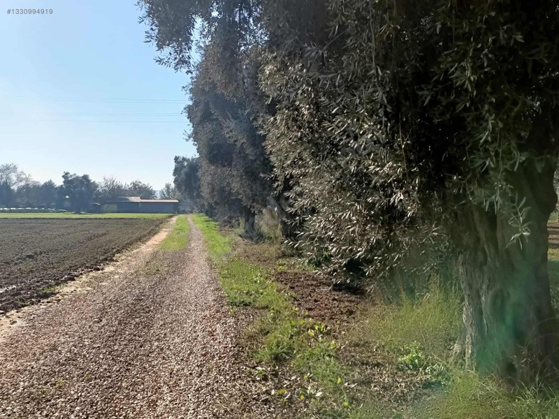 Muğla Milas Merkezde Satılık Değerli Arazi — fotoğraf 11