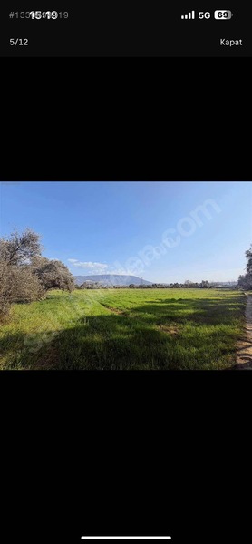 Muğla Milas Merkezde Satılık Değerli Arazi — fotoğraf 12