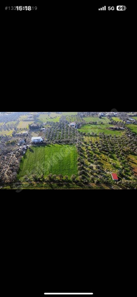 Muğla Milas Merkezde Satılık Değerli Arazi — fotoğraf 13