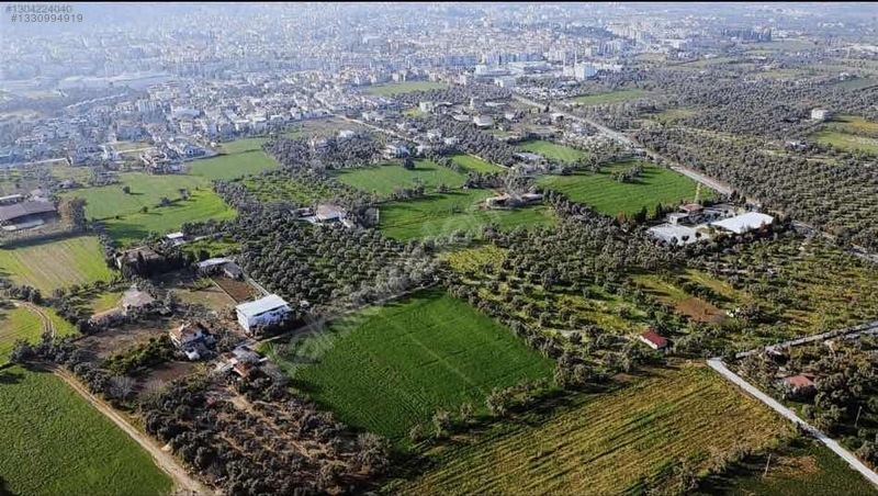 Muğla Milas Merkezde Satılık Değerli Arazi — fotoğraf 14