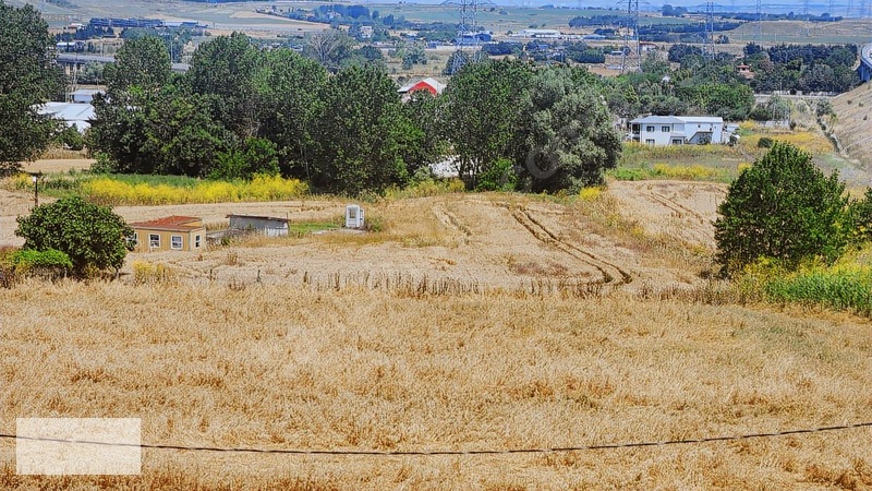 Çatalca Kaleiçi Mah.satılık 9.000 M2 Otoban Kenarı Tarla — fotoğraf 2