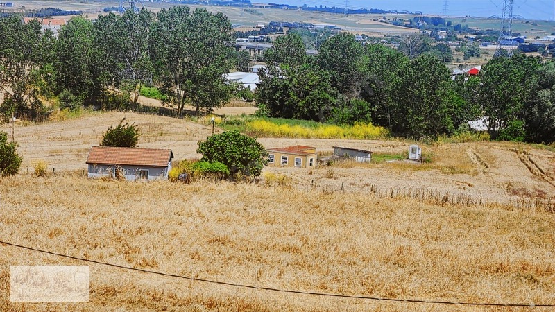 Çatalca Kaleiçi Mah.satılık 9.000 M2 Otoban Kenarı Tarla — fotoğraf 3