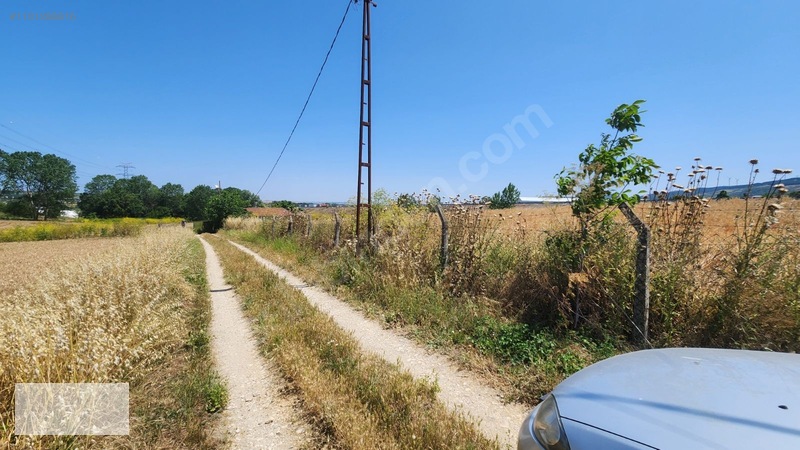Çatalca Kaleiçi Mah.satılık 9.000 M2 Otoban Kenarı Tarla — fotoğraf 8