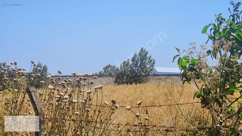 Çatalca Kaleiçi Mah.satılık 9.000 M2 Otoban Kenarı Tarla — fotoğraf 10