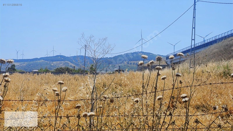 Çatalca Kaleiçi Mah.satılık 9.000 M2 Otoban Kenarı Tarla — fotoğraf 11