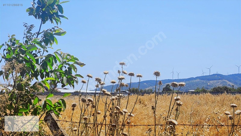 Çatalca Kaleiçi Mah.satılık 9.000 M2 Otoban Kenarı Tarla — fotoğraf 12
