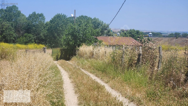 Çatalca Kaleiçi Mah.satılık 9.000 M2 Otoban Kenarı Tarla — fotoğraf 13