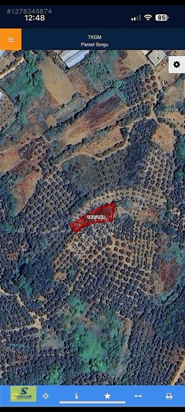 Satılık Arazi Balıkesir Bandırma / Sahil Yenice Takaslı Fırsat! — fotoğraf 2