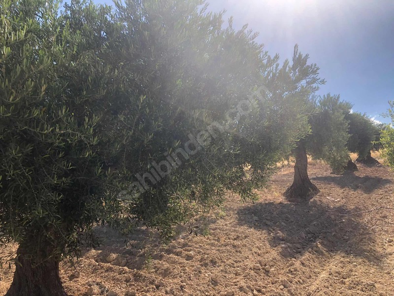 Muhteşem Göl Ve Doğa Manzarası İle Temiz Havanın Doruklarında.. — fotoğraf 12
