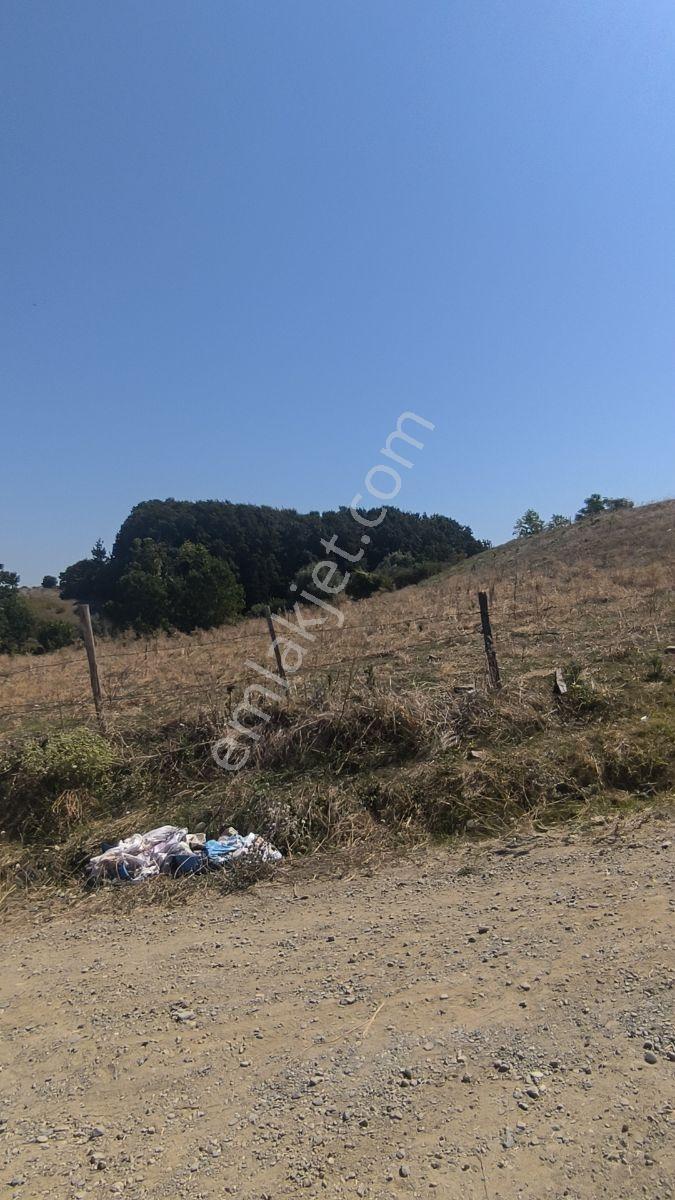 Edis Emlak'tan Satılık Bafraya 5 Dakika Mesafede 12 Evlik Arazi — fotoğraf 7