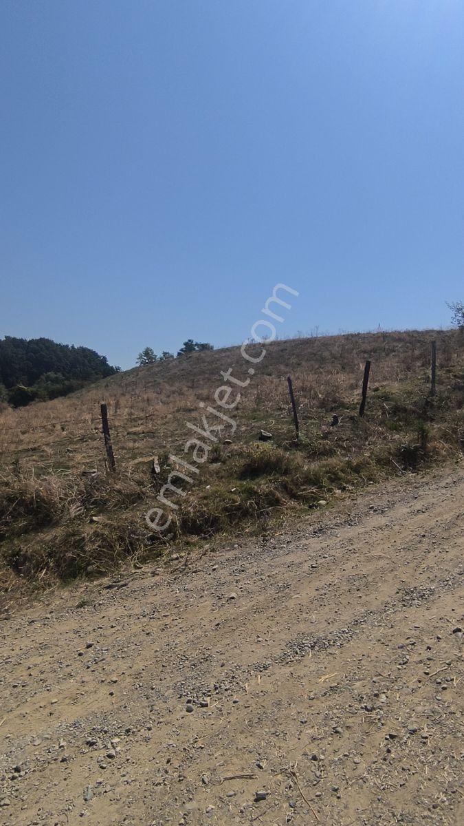 Edis Emlak'tan Satılık Bafraya 5 Dakika Mesafede 12 Evlik Arazi — fotoğraf 8