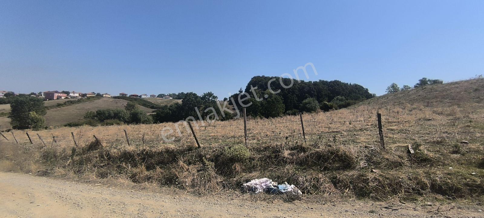 Edis Emlak'tan Satılık Bafraya 5 Dakika Mesafede 12 Evlik Arazi — fotoğraf 13