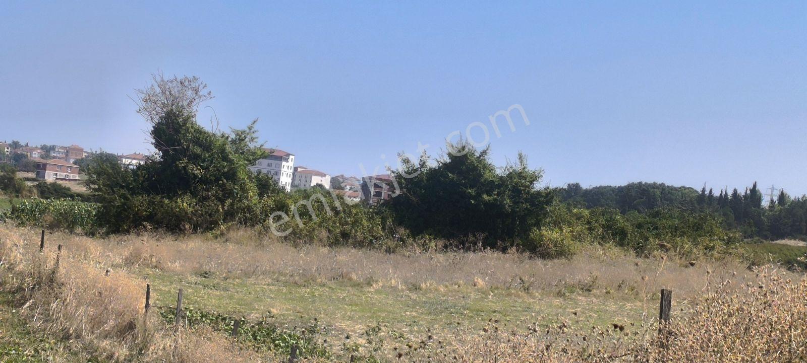 Edis Emlak'tan Satılık Bafraya 5 Dakika Mesafede 12 Evlik Arazi — fotoğraf 14