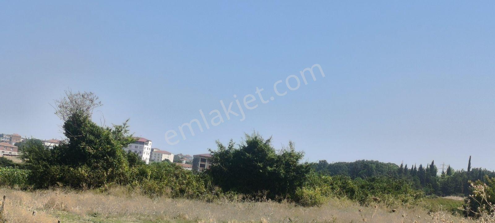 Edis Emlak'tan Satılık Bafraya 5 Dakika Mesafede 12 Evlik Arazi — fotoğraf 15