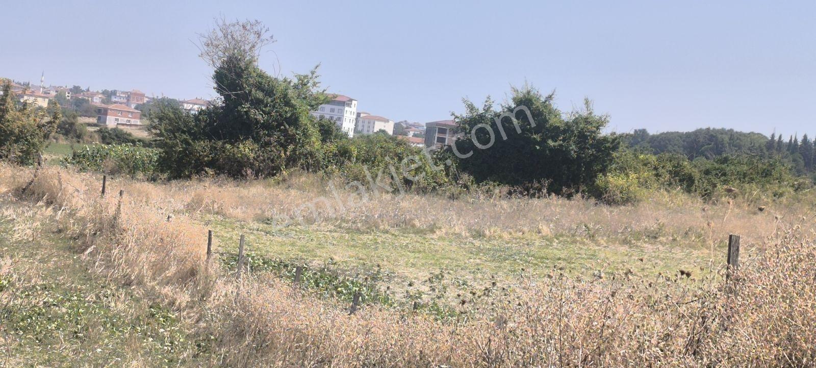 Edis Emlak'tan Satılık Bafraya 5 Dakika Mesafede 12 Evlik Arazi — fotoğraf 16