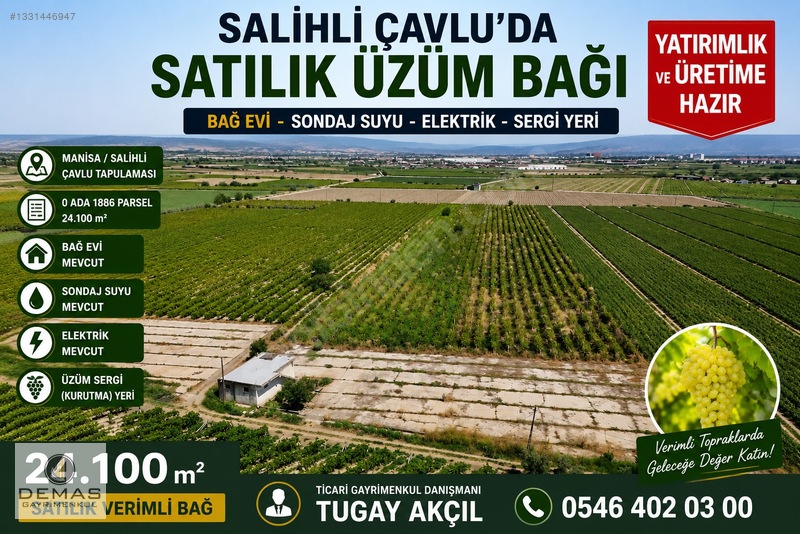 Salihli Çavlu'Da 24.100 M² Bağ Evli, Sondajlı Satılık Üzüm Bağı