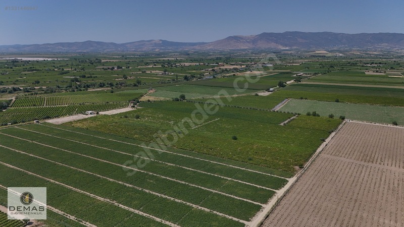 Salihli Çavlu'da 24.100 M² Bağ Evli, Sondajlı Satılık Üzüm Bağı — fotoğraf 4