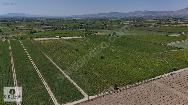 Salihli Çavlu'da 24.100 M² Bağ Evli, Sondajlı Satılık Üzüm Bağı — fotoğraf 5
