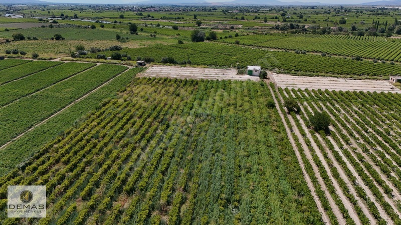 Salihli Çavlu'da 24.100 M² Bağ Evli, Sondajlı Satılık Üzüm Bağı — fotoğraf 8