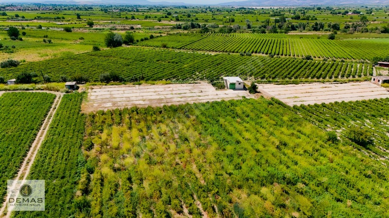 Salihli Çavlu'da 24.100 M² Bağ Evli, Sondajlı Satılık Üzüm Bağı — fotoğraf 9