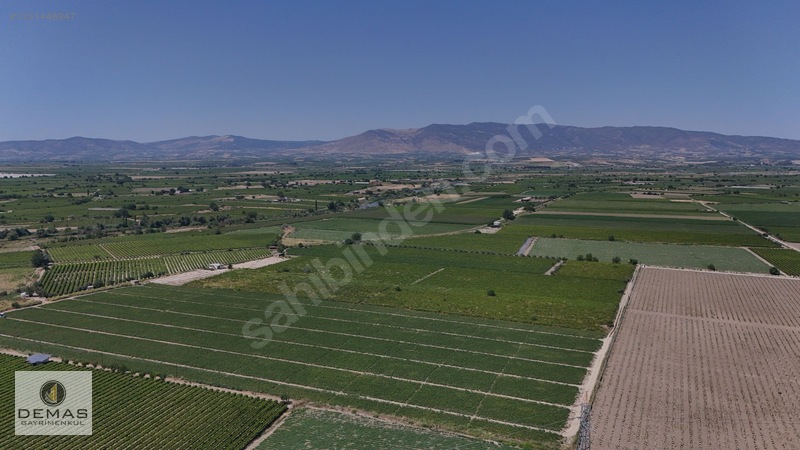 Salihli Çavlu'da 24.100 M² Bağ Evli, Sondajlı Satılık Üzüm Bağı — fotoğraf 10