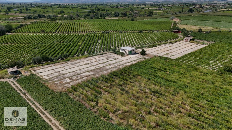 Salihli Çavlu'da 24.100 M² Bağ Evli, Sondajlı Satılık Üzüm Bağı — fotoğraf 11