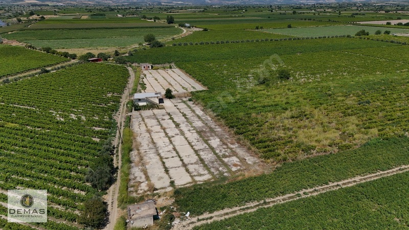 Salihli Çavlu'da 24.100 M² Bağ Evli, Sondajlı Satılık Üzüm Bağı — fotoğraf 12