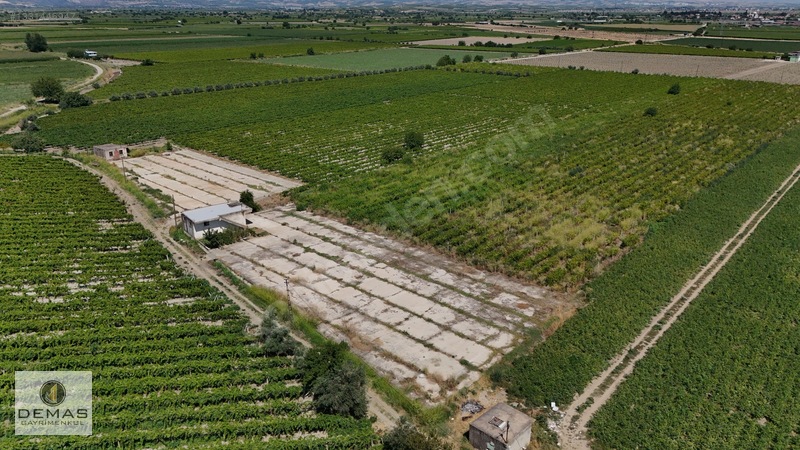 Salihli Çavlu'da 24.100 M² Bağ Evli, Sondajlı Satılık Üzüm Bağı — fotoğraf 13