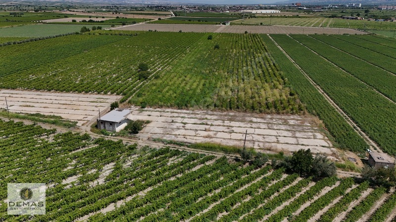 Salihli Çavlu'da 24.100 M² Bağ Evli, Sondajlı Satılık Üzüm Bağı — fotoğraf 14
