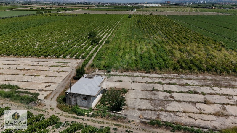 Salihli Çavlu'da 24.100 M² Bağ Evli, Sondajlı Satılık Üzüm Bağı — fotoğraf 15