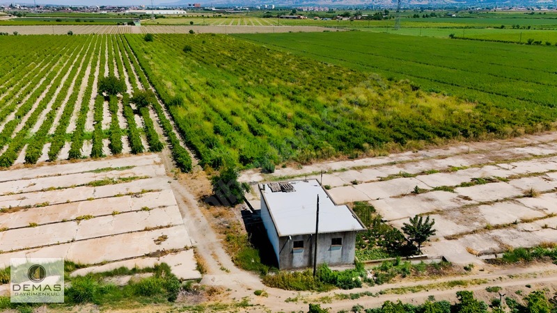 Salihli Çavlu'da 24.100 M² Bağ Evli, Sondajlı Satılık Üzüm Bağı — fotoğraf 16