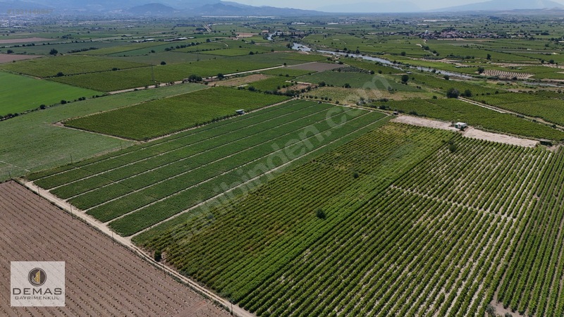 Salihli Çavlu'da 24.100 M² Bağ Evli, Sondajlı Satılık Üzüm Bağı — fotoğraf 18