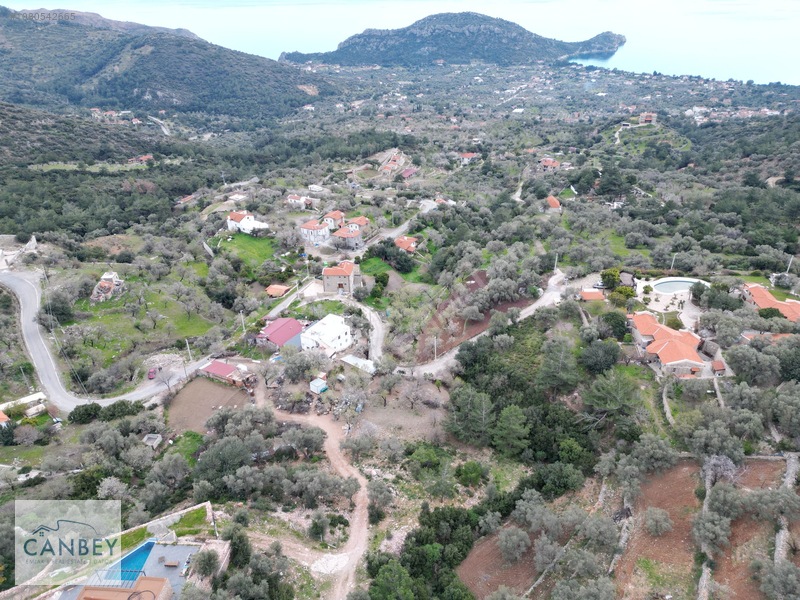 Mesudiye'de Deniz Gören 1.685 M2 Plan İçi Tarla — fotoğraf 2