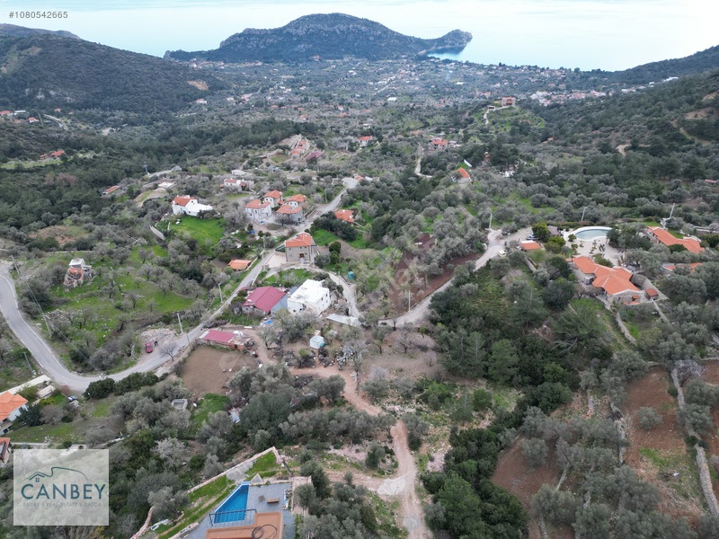 Mesudiye'de Deniz Gören 1.685 M2 Plan İçi Tarla — fotoğraf 5