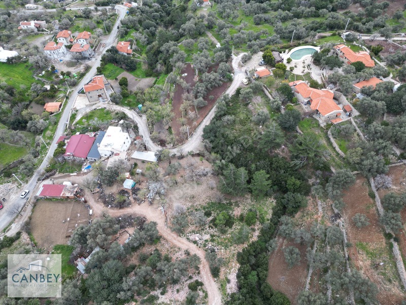 Mesudiye'de Deniz Gören 1.685 M2 Plan İçi Tarla — fotoğraf 6