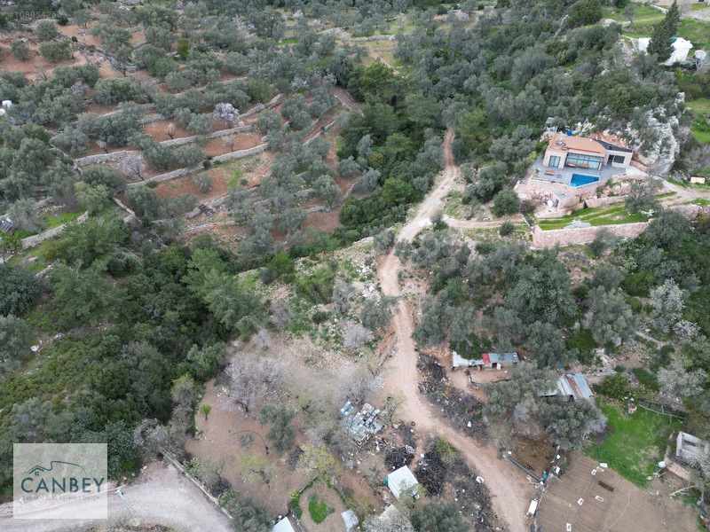 Mesudiye'de Deniz Gören 1.685 M2 Plan İçi Tarla — fotoğraf 9