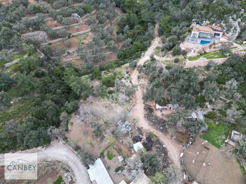 Mesudiye'de Deniz Gören 1.685 M2 Plan İçi Tarla — fotoğraf 11