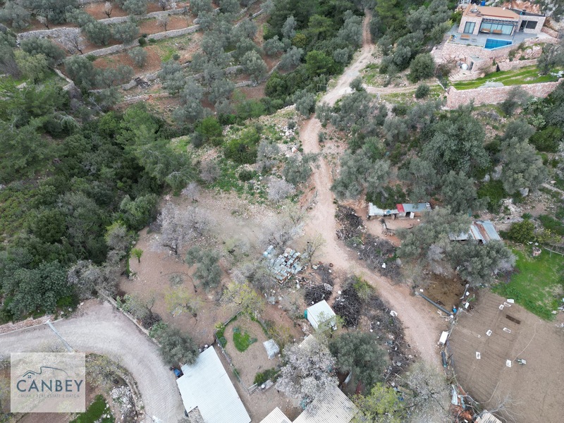 Mesudiye'de Deniz Gören 1.685 M2 Plan İçi Tarla — fotoğraf 12