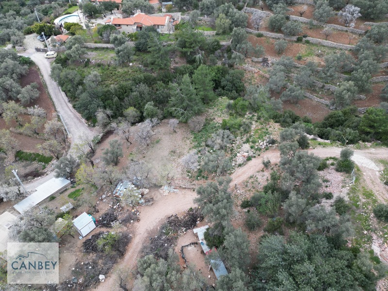 Mesudiye'de Deniz Gören 1.685 M2 Plan İçi Tarla — fotoğraf 13
