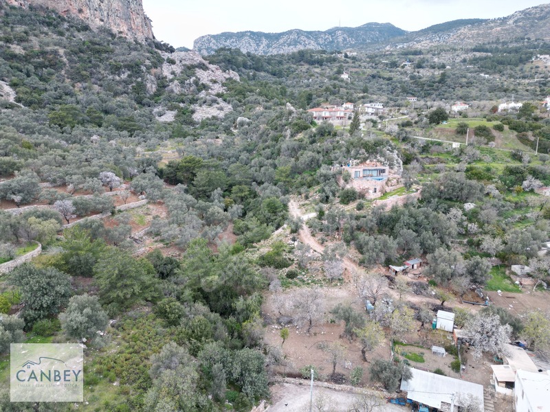 Mesudiye'de Deniz Gören 1.685 M2 Plan İçi Tarla — fotoğraf 15