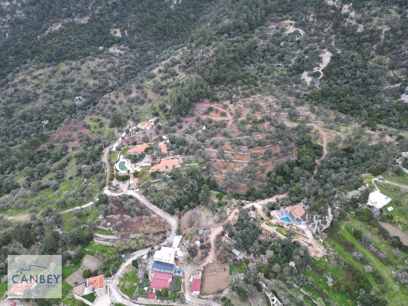 Mesudiye'de Deniz Gören 1.685 M2 Plan İçi Tarla — fotoğraf 17