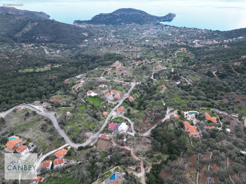 Mesudiye'de Deniz Gören 1.685 M2 Plan İçi Tarla — fotoğraf 18