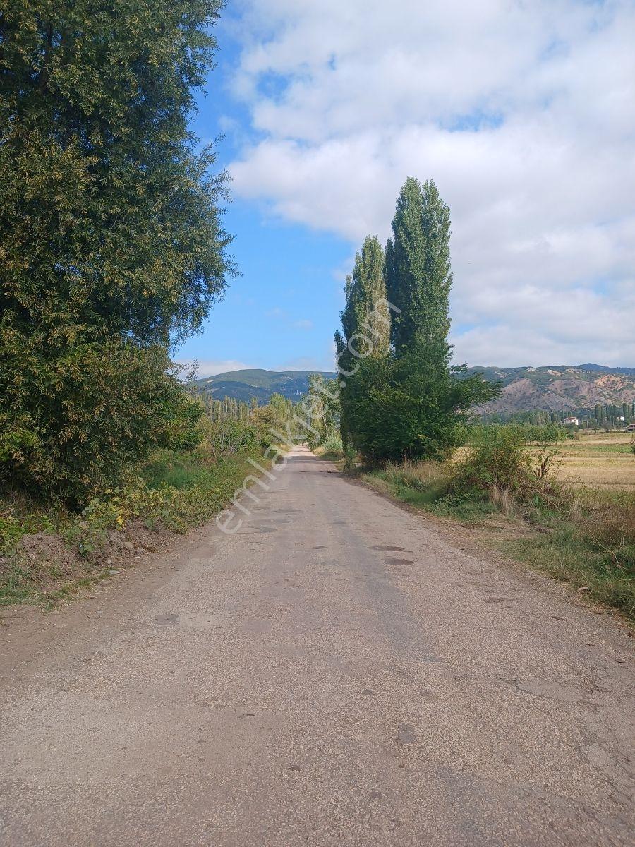 Tokat Bizim Emlaktan Satılık Bahçe