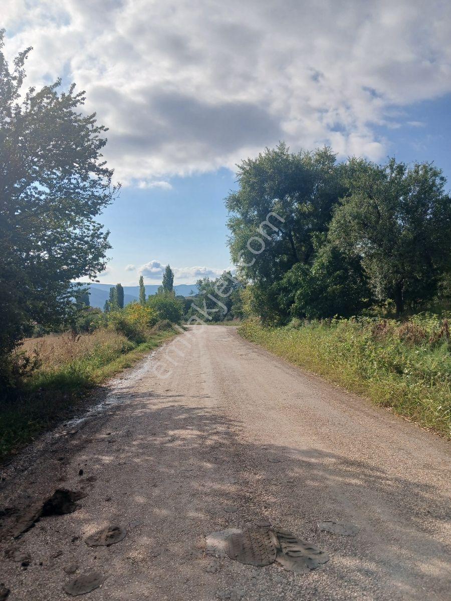 Tokat Bizim Emlaktan Satılık Bahçe — fotoğraf 2
