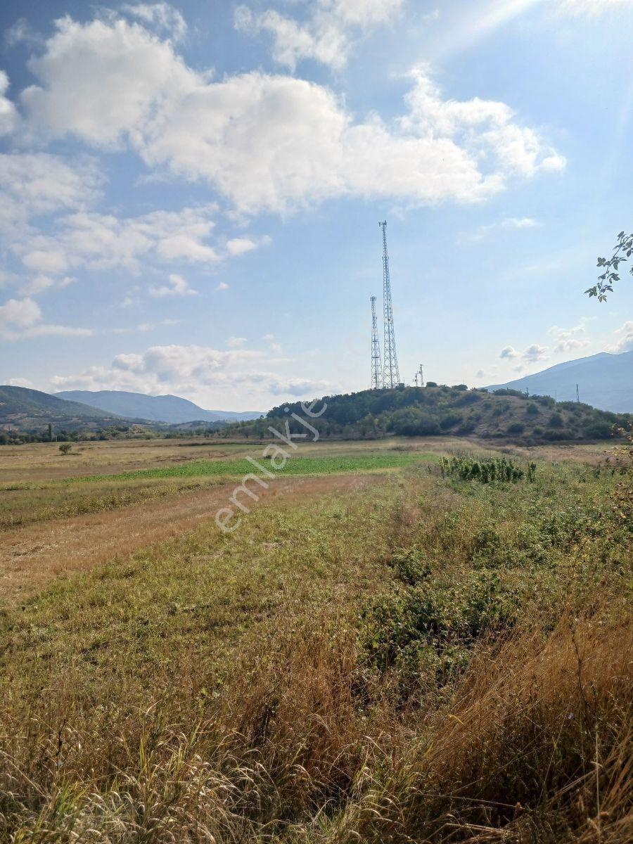 Tokat Bizim Emlaktan Satılık Bahçe — fotoğraf 3